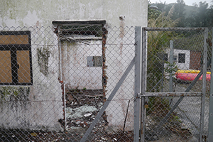 Sai Wan Tsuen, Sai Kung, 24 January 2016