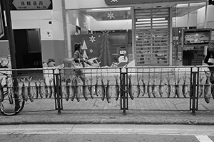 Fish being dried on the street, Des Voeux Road West, Sheung Wan, 2 January 2016