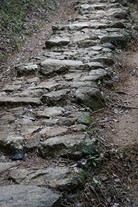 Old stone path above Lai Chi Wo village, Plover Cove Country Park,  North East New Territories, 21 February 2016