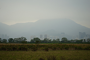 Plover Cove Country Park, North East New Territories, 21 February 2016