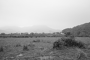 Plover Cove Country Park, North East New Territories, 21 February 2016