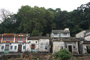 Village Houses near Starling Inlet, Plover Cove Country Park, North East New Territories, 21 February 2016