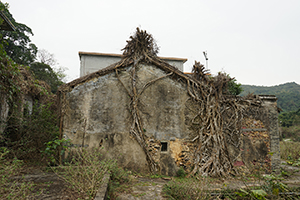 Village Houses near Starling Inlet, Plover Cove Country Park, North East New Territories, 21 February 2016