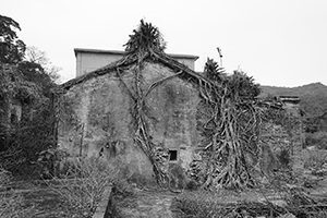 Village Houses near Starling Inlet, Plover Cove Country Park, North East New Territories, 21 February 2016