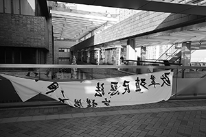 A banner on the University of Hong Kong campus, Pokfulam, 5 February 2016
