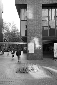 University of Hong Kong campus, Pokfulam, 29 February 2016