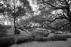 Pond on the University of Hong Kong campus, Pokfulam, 29 February 2016