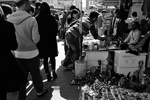 Street market, Sham Shui Po, 8 February 2016