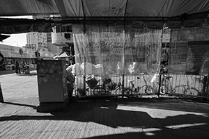 Street scene during the Lunar New Year holiday, Sham Shui Po, Kowloon, 8 February 2016