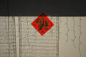 Lunar New Year decoration, Sham Shui Po, 8 February 2016