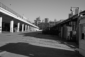 Cheung Sha Wan, 8 February 2016