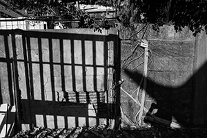 Street scene, Cheung Sha Wan, Kowloon, 8 February 2016