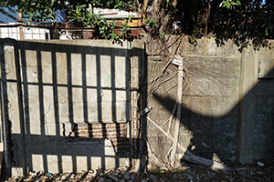 Street scene, Cheung Sha Wan, Kowloon, 8 February 2016