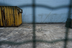 Wall of a building, Cheung Sha Wan, 8 February 2016