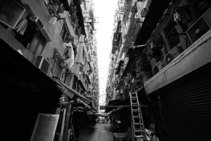 Kim Shin Lane, Cheung Sha Wan, 8 February 2016