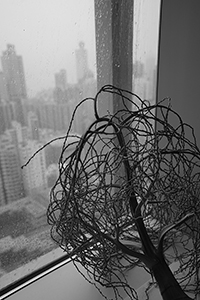 View through an office window on a rainy day, Run Run Shaw Building, HKU,  Pokfulam, 1 February 2016
