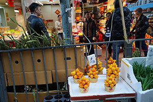 Flowers for sale at Chinese New Year, Kowloon, 8 February 2016