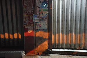Street scene at night, Canton Road, Mongkok, 9 February 2016