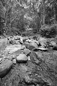 Stream, Pokfulam Country Park, 11 February 2016