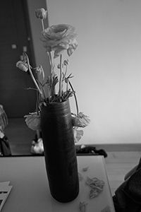 Flowers in a vase, Sheung Wan, 12 February 2016