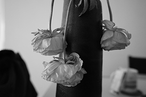 Wilted flowers in a vase, Sheung Wan, 13 February 2016