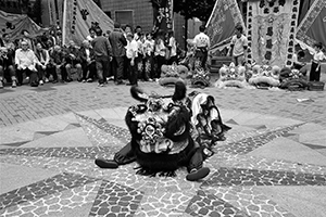 Lion Dance performance for the Lunar New Year, Sheung Wan Cultural Square, 13 February 2016