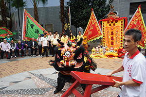 Lion Dance performance for the Lunar New Year, Sheung Wan Cultural Square, 13 February 2016