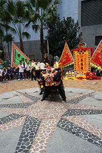 Lion dance performance in celebration of the Lunar New Year, Bonham Strand, Sheung Wan, 13 February 2016