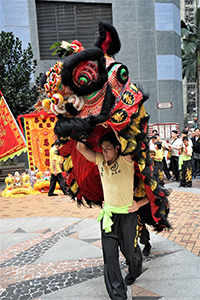 Lion dance performance for Lunar New Year, Bonham Strand, Sheung Wan, 13 February 2016