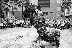 Lion dance performance for the Lunar New Year, Sheung Wan Cultural Square, 13 February 2016