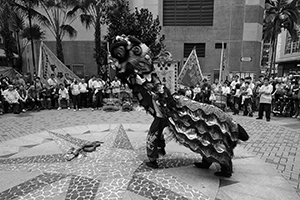 Lion dance performance for the Lunar New Year, Sheung Wan Cultural Square, 13 February 2016