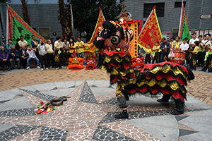 Lion dance performance for Lunar New Year, Bonham Strand, Sheung Wan, 13 February 2016