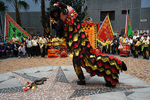 Lion dance performance for Lunar New Year, Bonham Strand, Sheung Wan, 13 February 2016