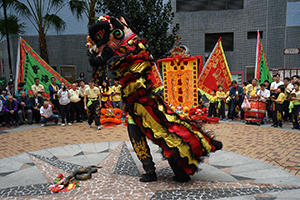 Lion dance performance for Lunar New Year, Bonham Strand, Sheung Wan, 13 February 2016