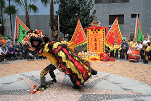 Lion dance performance for Lunar New Year, Bonham Strand, Sheung Wan, 13 February 2016