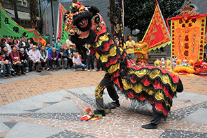 Lion dance performance for Lunar New Year, Bonham Strand, Sheung Wan, 13 February 2016
