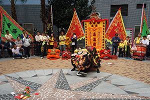 Lion dance performance for Lunar New Year, Bonham Strand, Sheung Wan, 13 February 2016