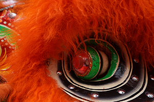 Lion dance performance for Lunar New Year, Bonham Strand, Sheung Wan, 13 February 2016