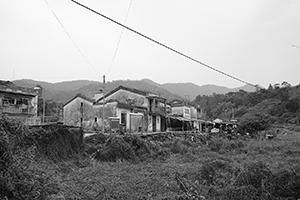 Village houses, North East New Territories, 21 February 2016