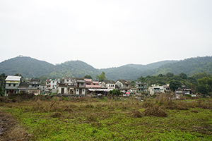 Village houses, North East New Territories, 21 February 2016