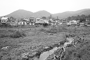 Village houses, North East New Territories, 21 February 2016