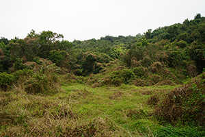 North East New Territories, 21 February 2016