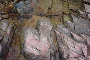 Sam A Chung,  Plover Cove Country Park, North East New Territories, 21 February 2016