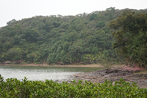 Sam A Chung,  Plover Cove Country Park, North East New Territories, 21 February 2016