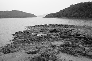 Sam A Chung,  Plover Cove Country Park, North East New Territories, 21 February 2016