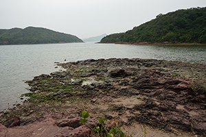 Sam A Chung,  Plover Cove Country Park, North East New Territories, 21 February 2016