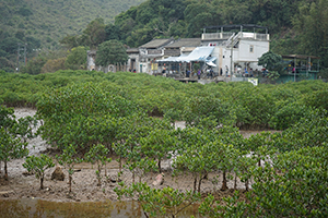 Plover Cove Country Park, North East New Territories, 21 February 2016