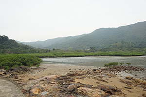 Near Lai Chi Wo village,  Plover Cove Country Park, North East New Territories, 21 February 2016