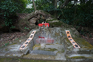 Shrine near Lai Chi Wo village, Plover Cove Country Park, North East New Territories, 21 February 2016