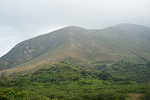 Lantau, 20 March 2016